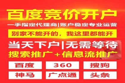 某某SEM团队成功提升网站流量与转化率的实战经验